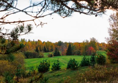 Wisconsin Whitetail Hunting Ranch - Long Lake Outfitters
