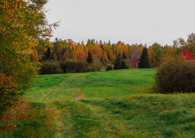 Wisconsin Whitetail Hunting Ranch - Long Lake Outfitters