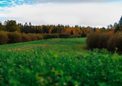 Wisconsin Whitetail Hunting Ranch - Long Lake Outfitters